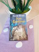 Livre Jean Du Casteloun - Annie Bruel en tres bon etat