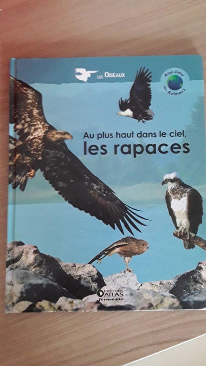 Livres  au plus haut dans le ciel les rapaces - photo numéro 1