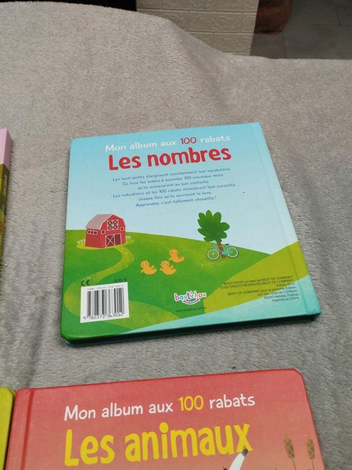 Mon album aux 100 rabats - photo numéro 5