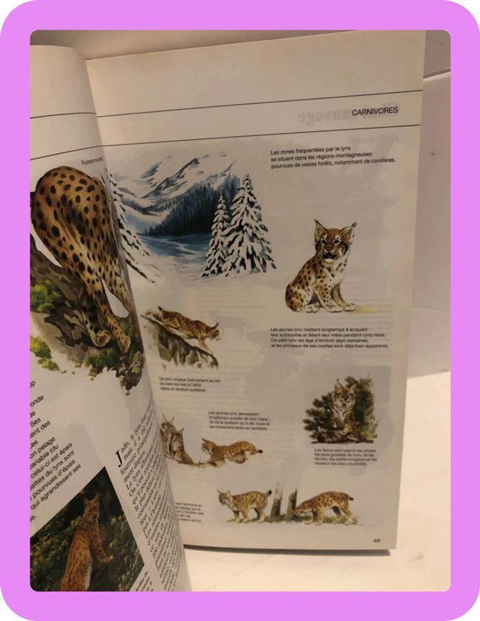 Livre guide des animaux des champs et des bois - photo numéro 10