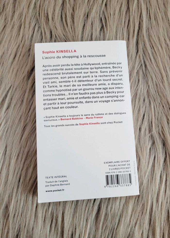 Livre L'accro du shopping à la rescousse - photo numéro 4