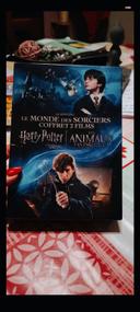 DVD le monde des sorciers 2 film