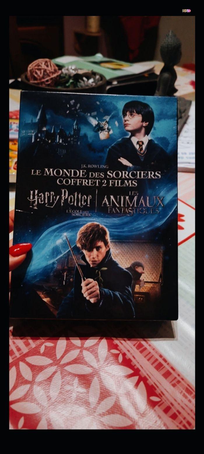 DVD le monde des sorciers 2 film - photo numéro 1