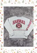 👕 Sweat à capuche Veste University Rare Vintage y2k 90s 2000s Harvard Gris Taille S 👕