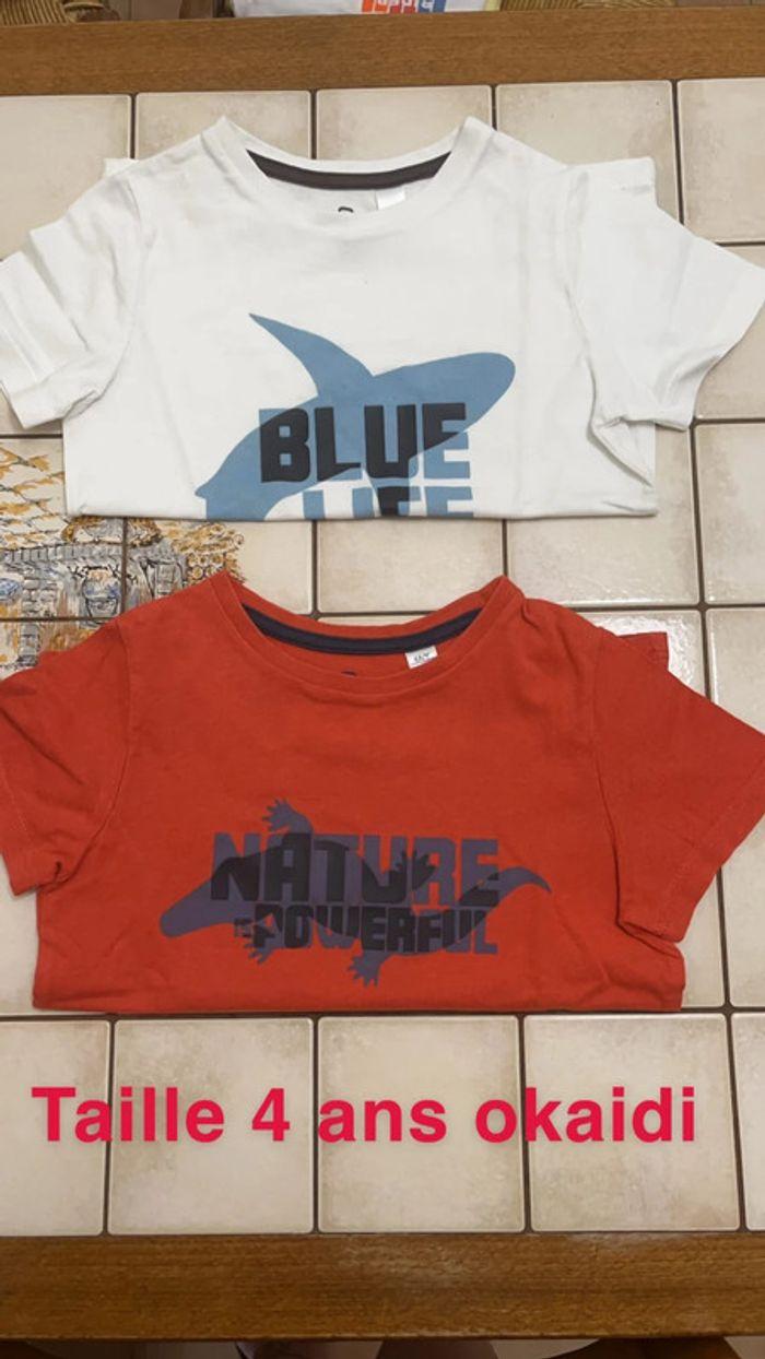 Lot de 2 t-shirt