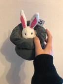 Lapin dans son chapeau Magicien