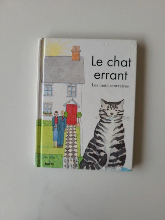 Le chat errant - photo numéro 1