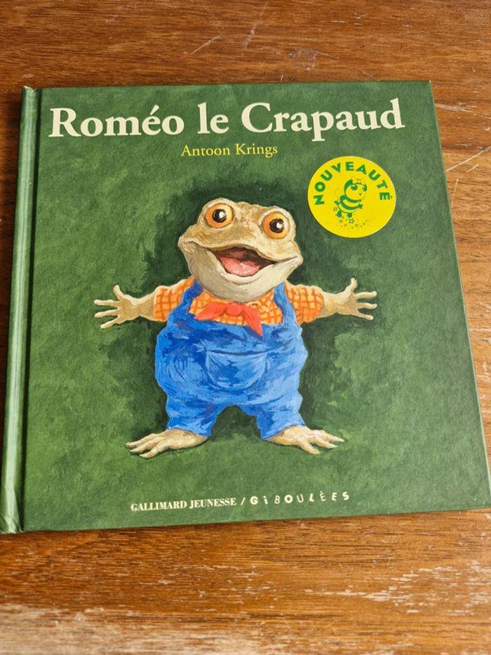 Roméo le crapaud - photo numéro 1