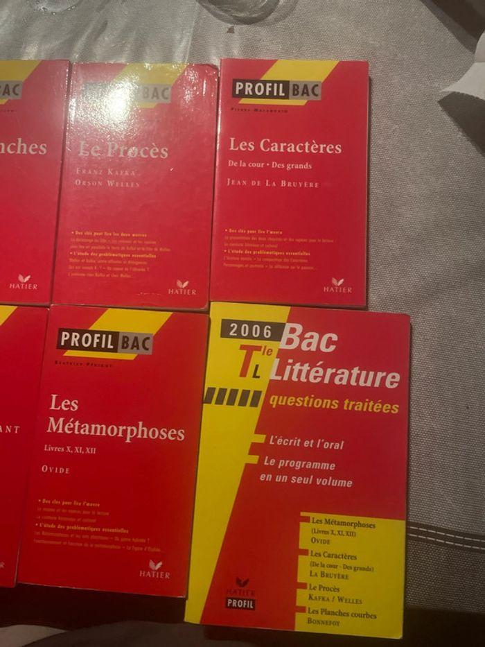 Lot de 10 profils bacs - photo numéro 4