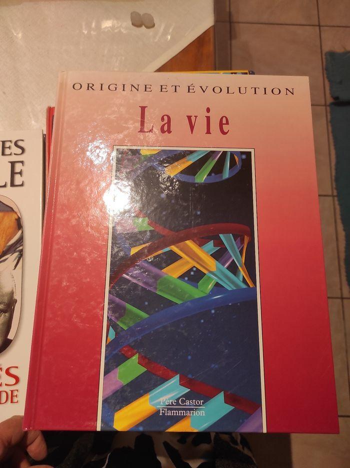 Origine et évolution - photo numéro 1