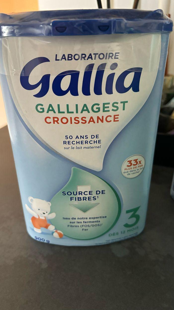 Galliagest croissance