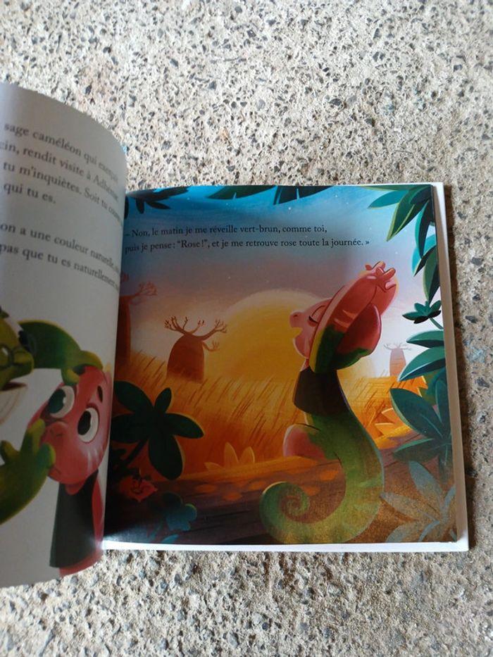 Livre enfants Le caméléon qui n aimait pas le rose - photo numéro 5