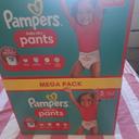 pampers pant t5