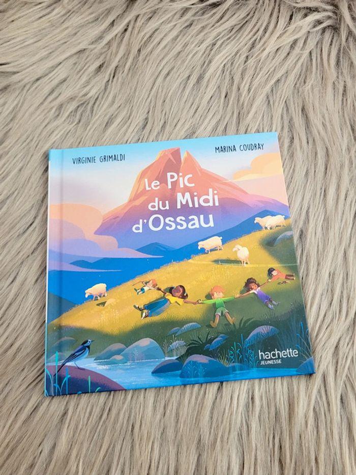 Livre Le Pic du Midi d'Ossau - photo numéro 1