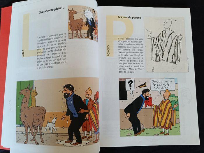 bd Tintin au Temple du Soleil par Hergé - photo numéro 3