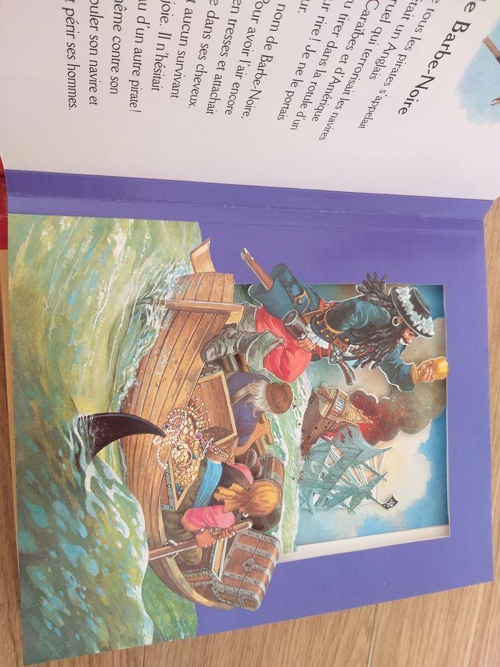 Livre sur les Pirates en 3D - photo numéro 3