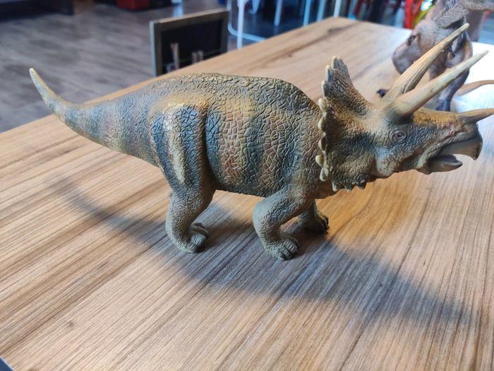 Triceratops collecta - photo numéro 2