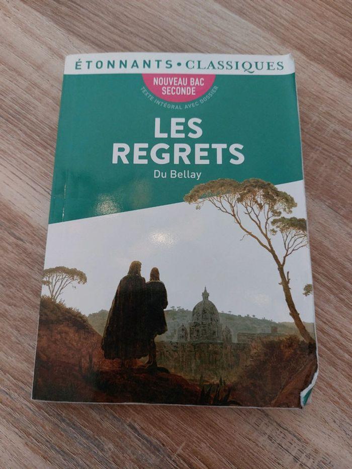 Les regrets du Bellay - photo numéro 1