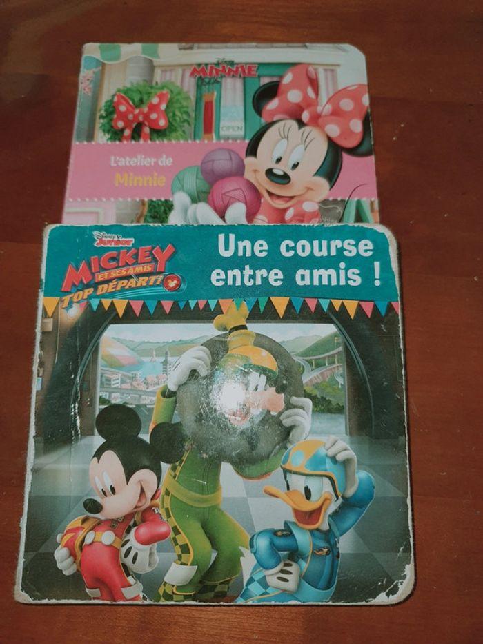 Lot de deux livres minnie et mickey Disney - photo numéro 1