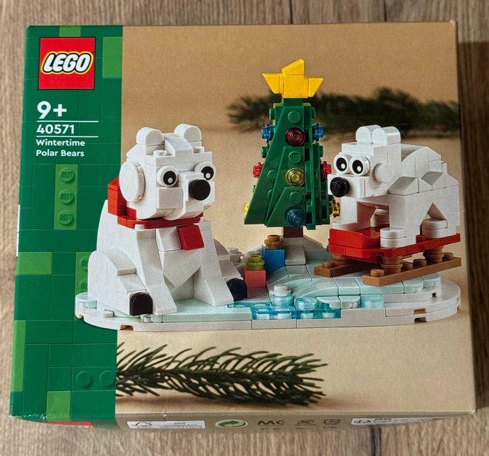 LEGO 40571 : Les ours blancs en hiver - photo numéro 3