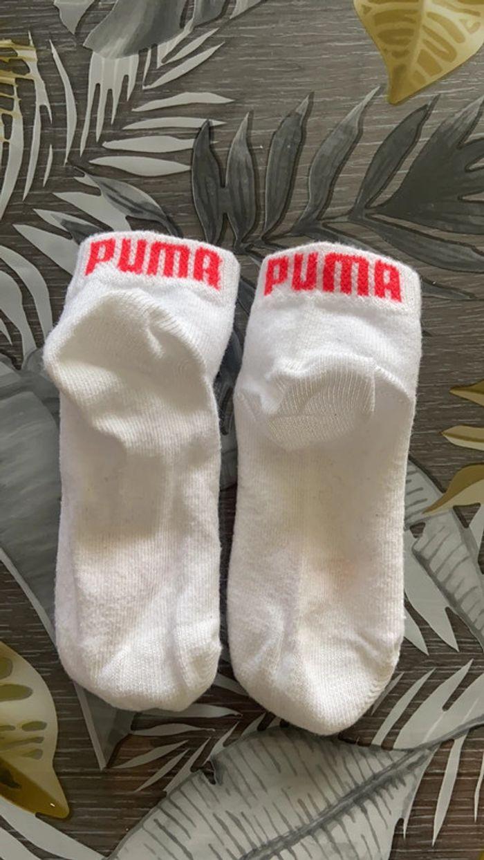 1 paires de chaussettes PUMA 27/30 - photo numéro 2