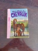 Livre mes amis les chevaux une randonnée mouvementée