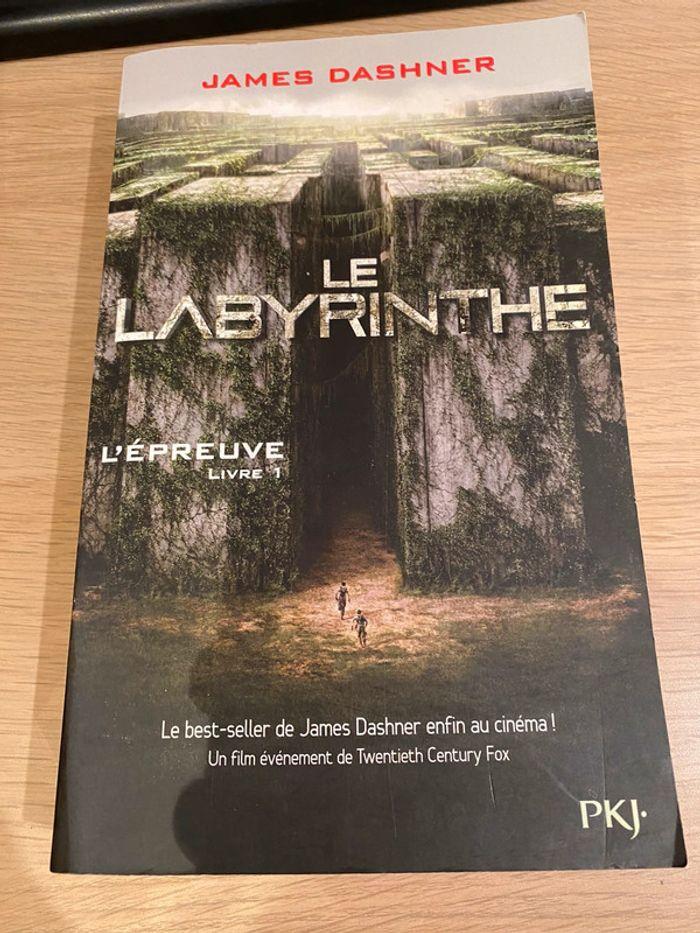 Livre le labyrinthe - photo numéro 1