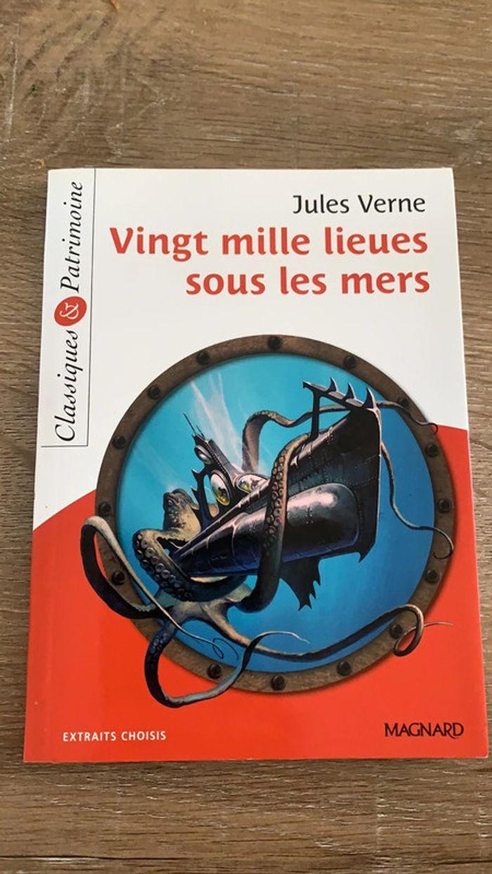 Jules Verne - photo numéro 1