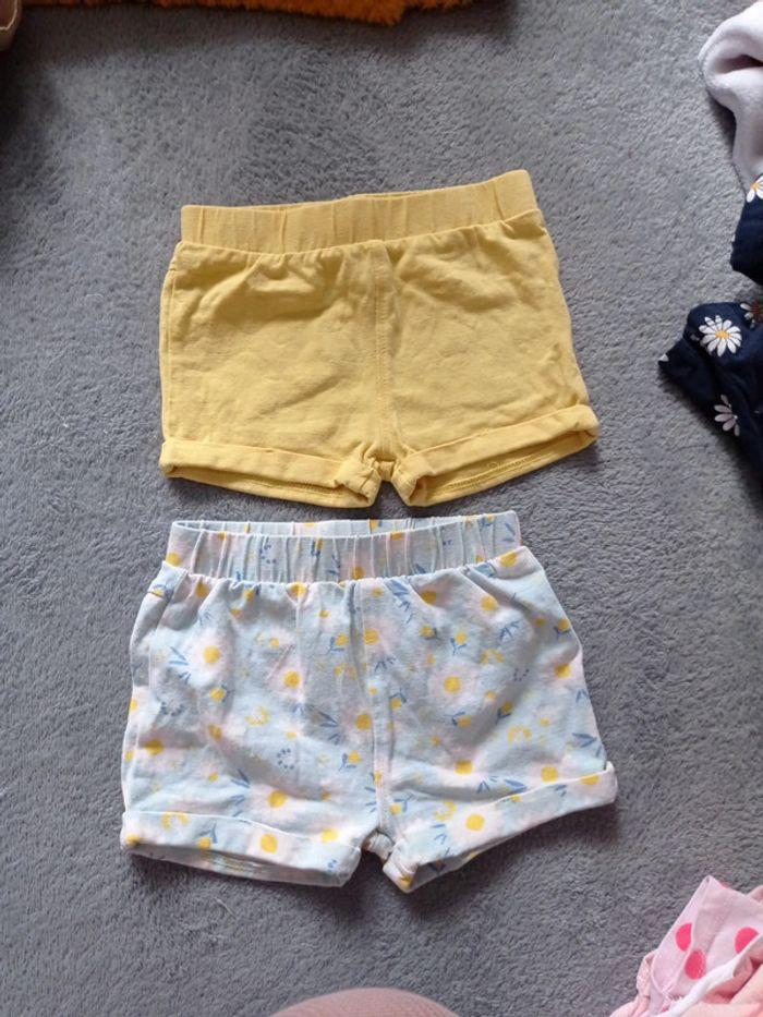 Lot short taille 12 mois - photo numéro 2