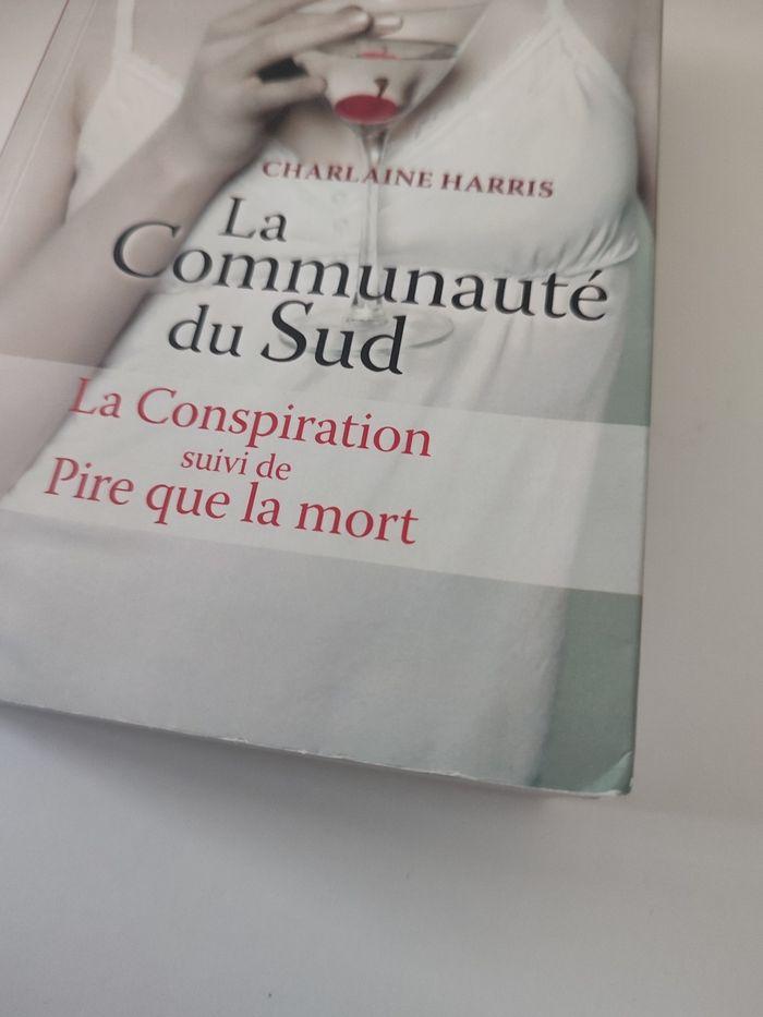 Livre "La Communauté du Sud" tomes 7 et 8 - photo numéro 7