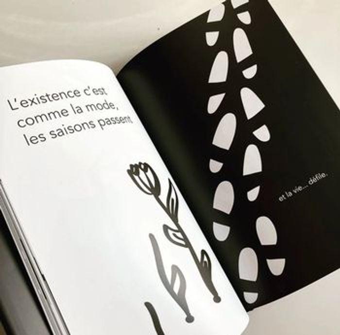 Livre sur la mode - humour - livre à offrir - illustration - jeux de mots - photo numéro 4