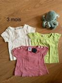 Lot 3 tee shirt manches courtes