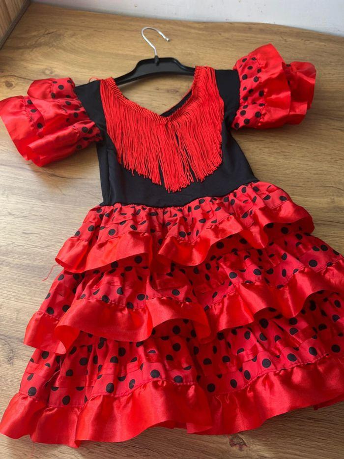 Robe costume bébé fille - photo numéro 2