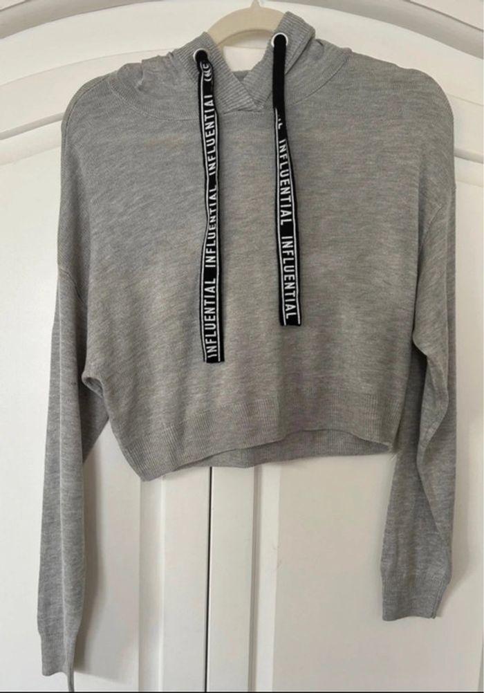 Pull à capuche gris clair neuf avec étiquette - photo numéro 1