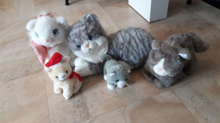 5 peluches chats - photo numéro 1