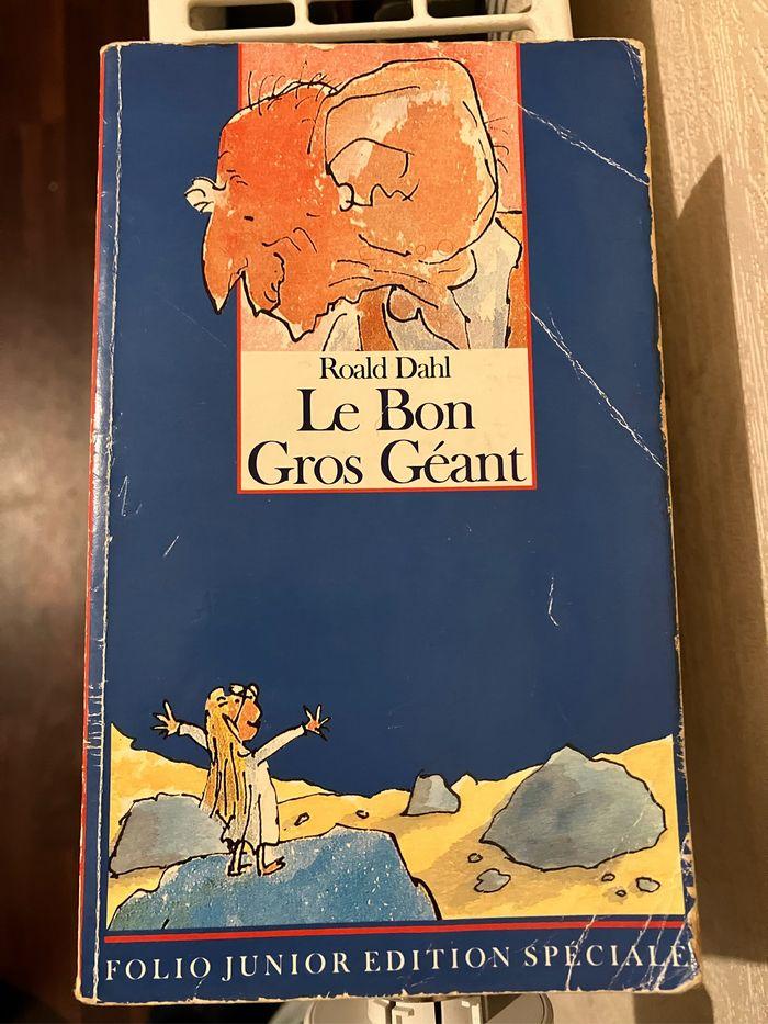 Livre « Le Bon Gros Géant » - photo numéro 1