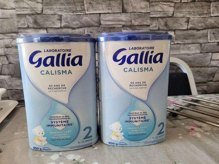 Gallia calisma 2 ème age