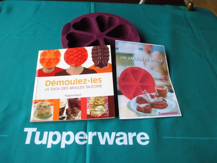 Tupperware Moule silicone 6 coeurs Neuf jamais utilisé + livre démoulez-les et fiche recettes - photo numéro 1