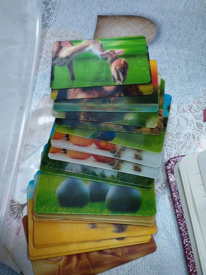 Collector cartes animaux - photo numéro 2