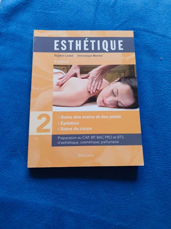 Cours Esthétique Vol.2 - photo numéro 1