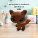 RARE ! Little Petshop Chat Main coon LPS #2258 Hasbro