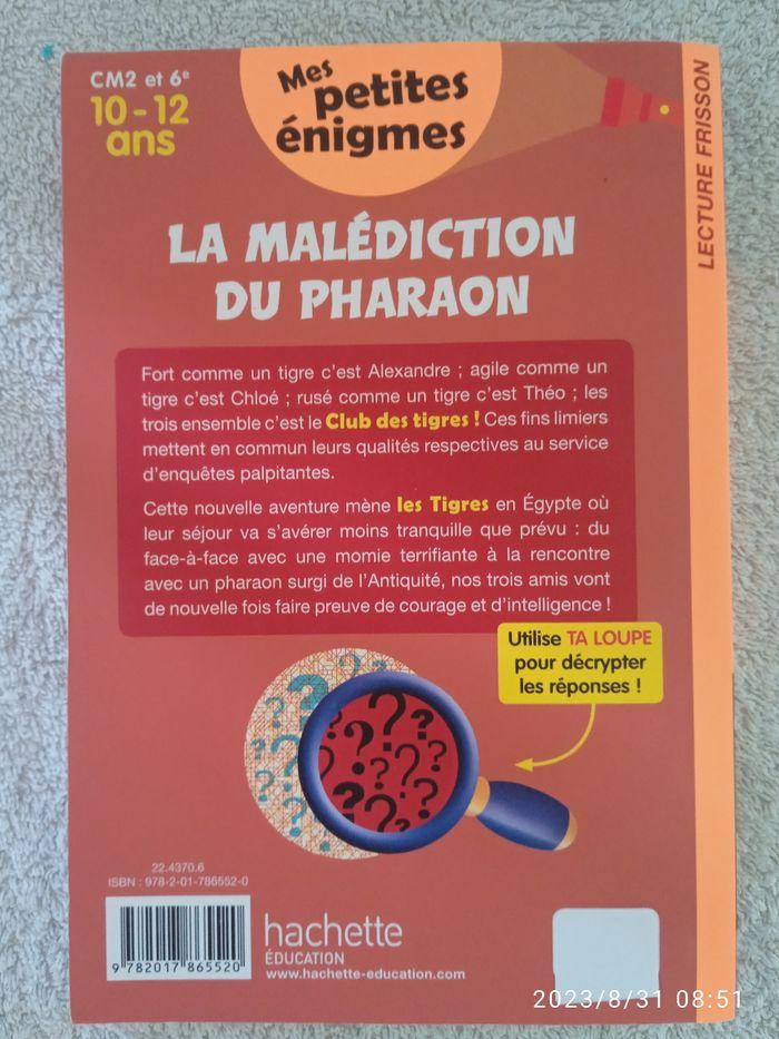 Mes petites énigmes " la malédiction du pharaon " - photo numéro 2