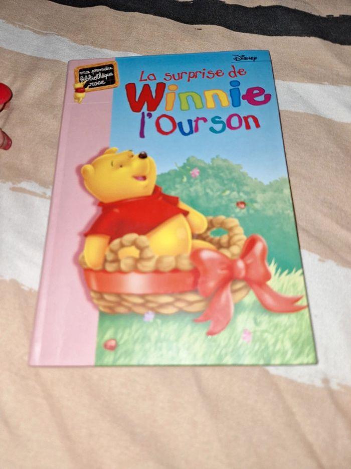 Lot livres Winnie - photo numéro 2