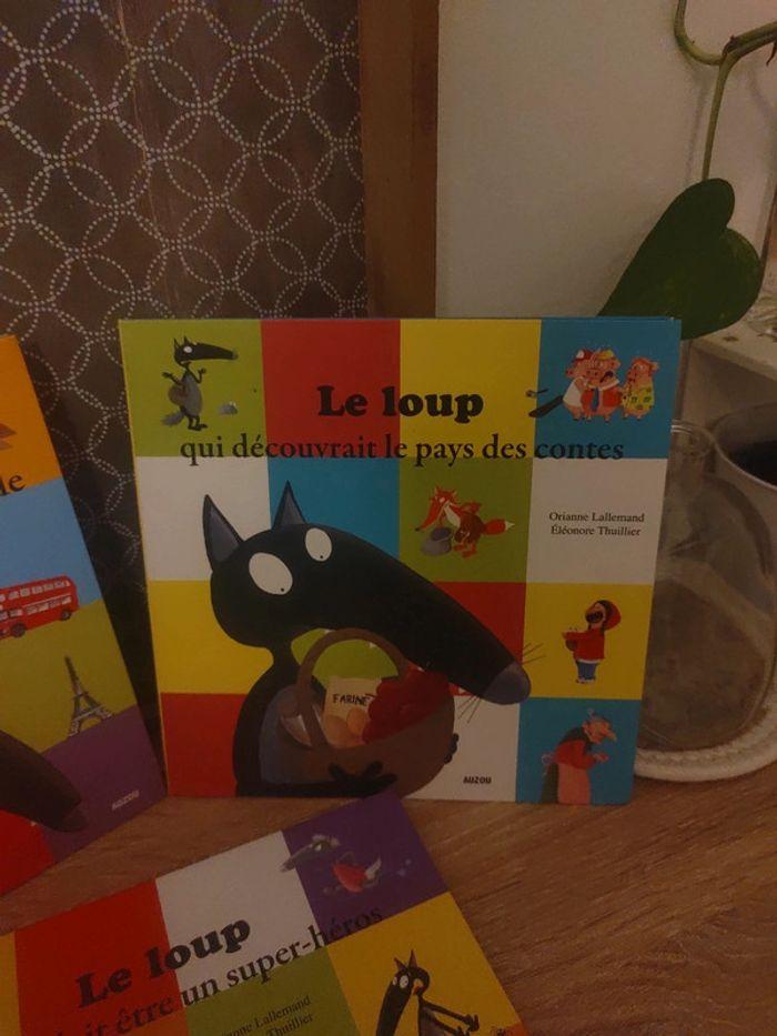 3 livres loup - photo numéro 4