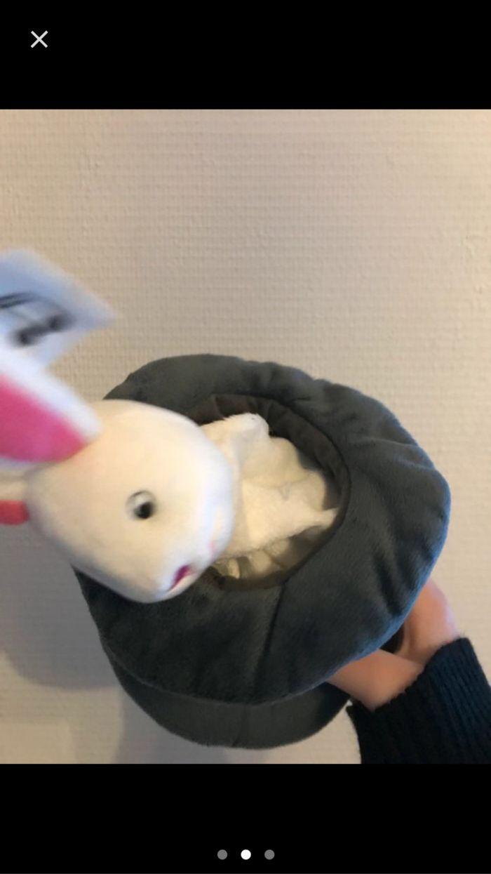 Lapin dans son chapeau de magicien - photo numéro 2