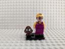 Figurine Wario dans Mario , style lego