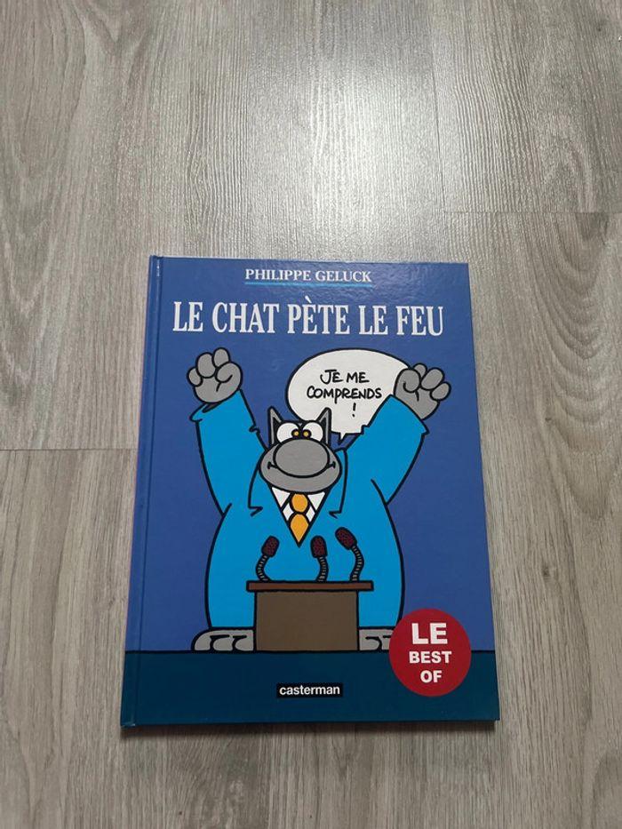 Bande dessinée Le chat pete le feu - photo numéro 1