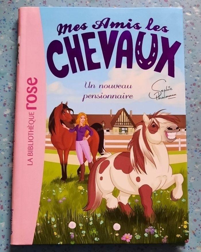 Mes amis les chevaux - photo numéro 1