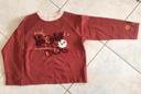 T-shirt, sweat-shirt, teeshirt  absorba (6 ans)