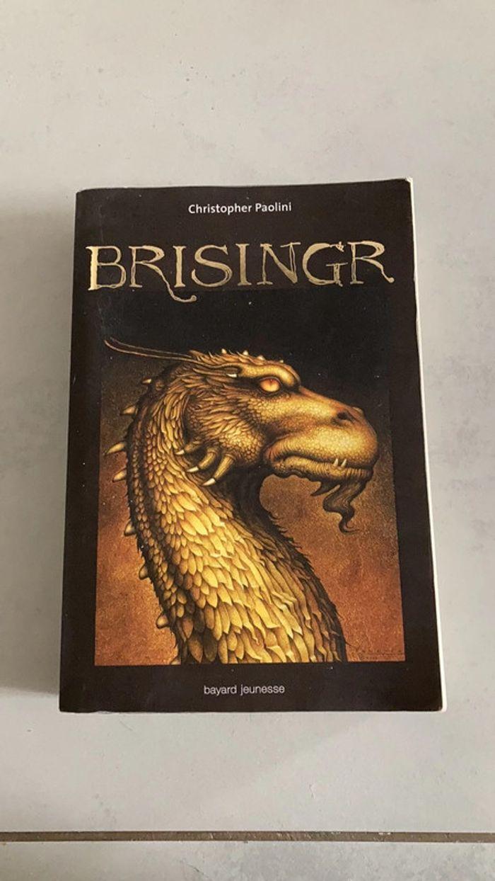 Livre Brisinger - photo numéro 1